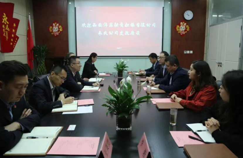 國信小貸與灃東融資擔保召開業(yè)務(wù)座談會